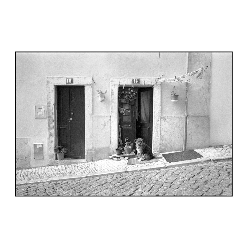 Lissabon-22-Leica-R7-Lomochrome-Metropolis-100-400.jpg